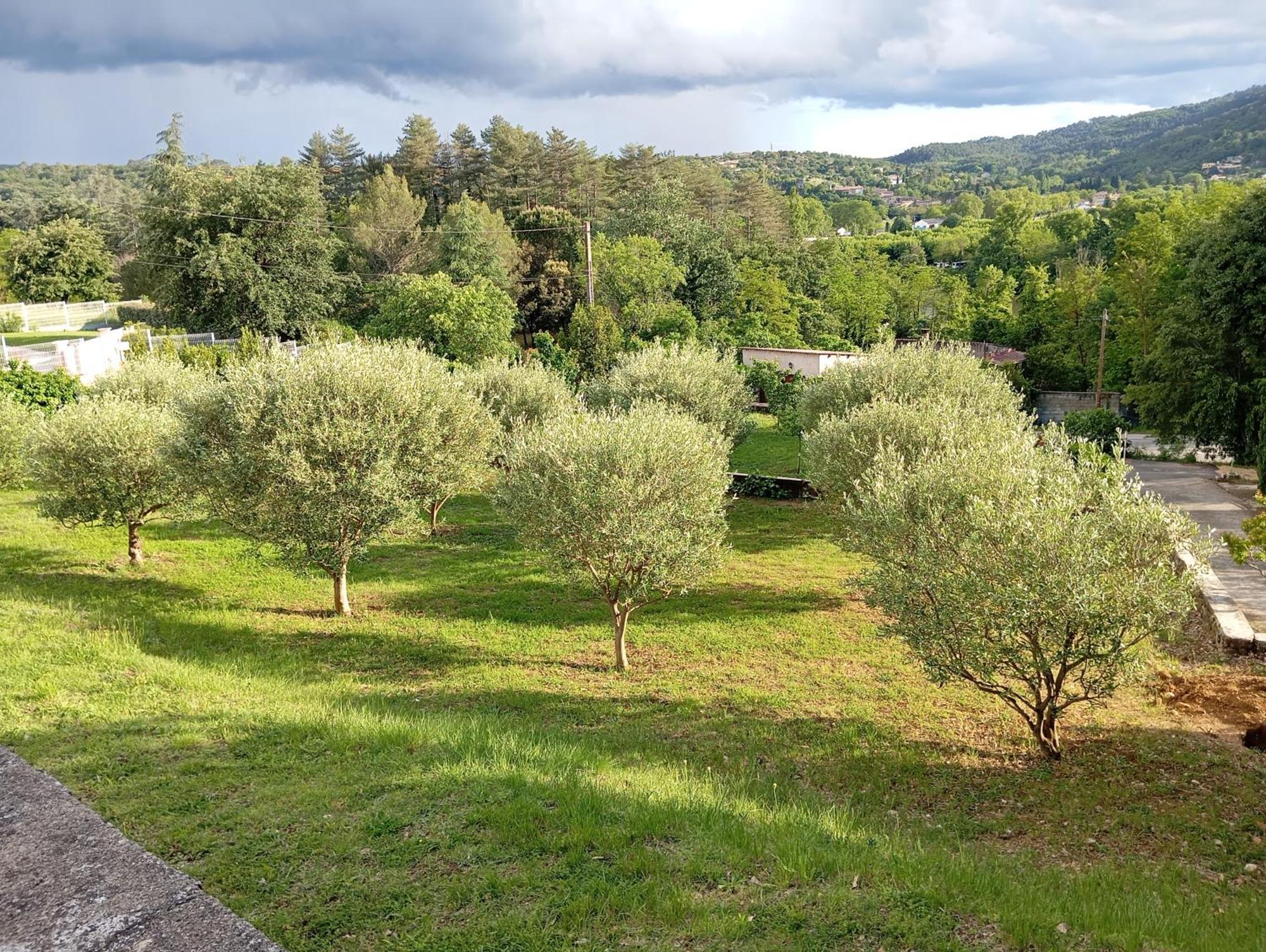 Le Moulin Villa Vallon-Pont-dʼArc Exterior foto