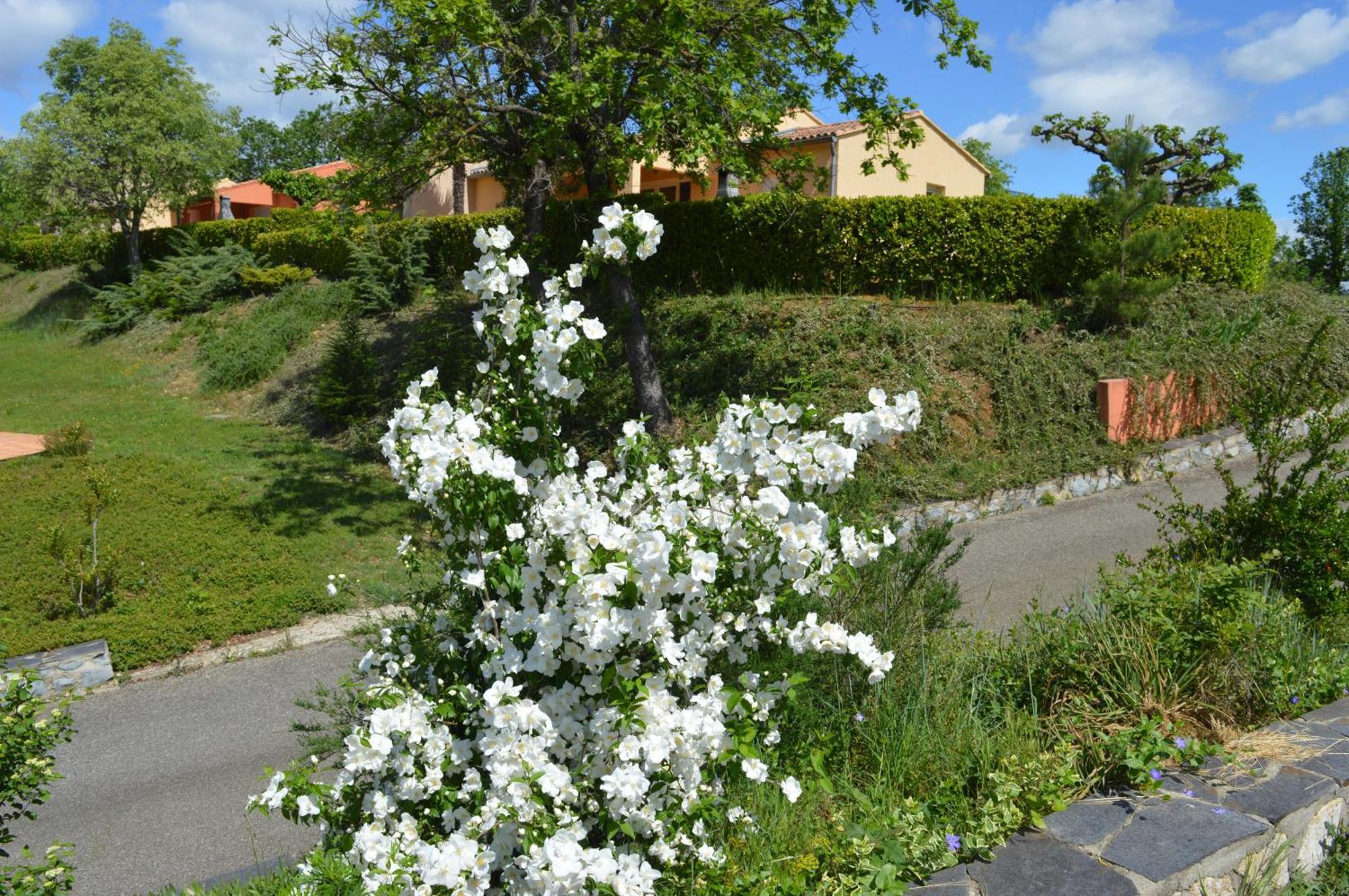 Le Moulin Villa Vallon-Pont-dʼArc Exterior foto